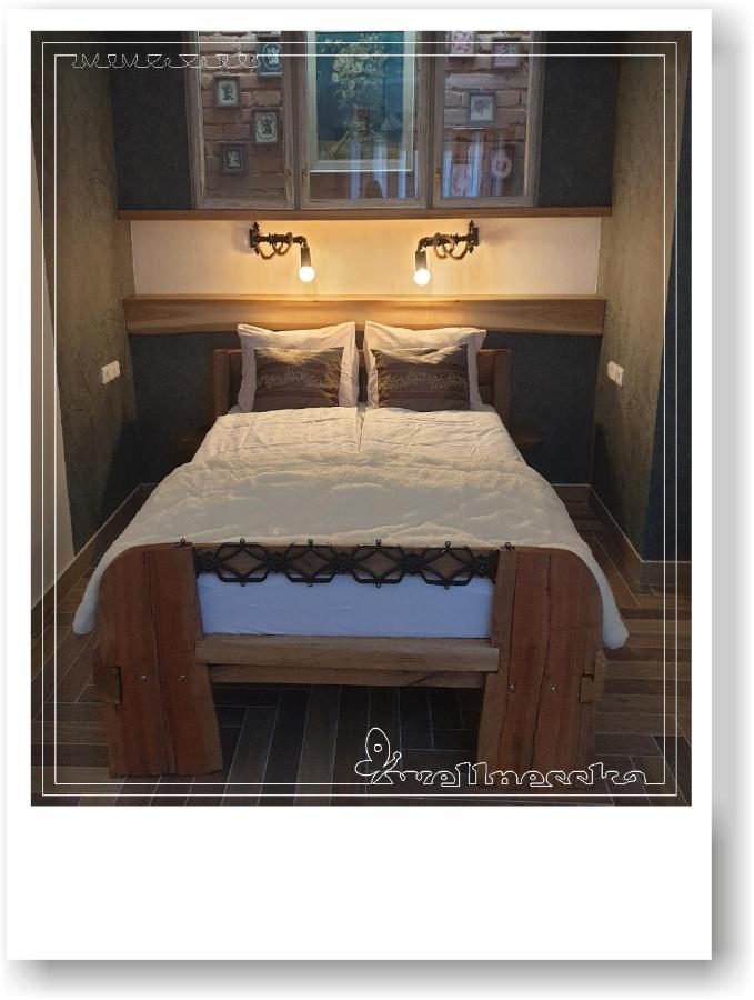 Wellnesska Vyhne Villa Exteriör bild