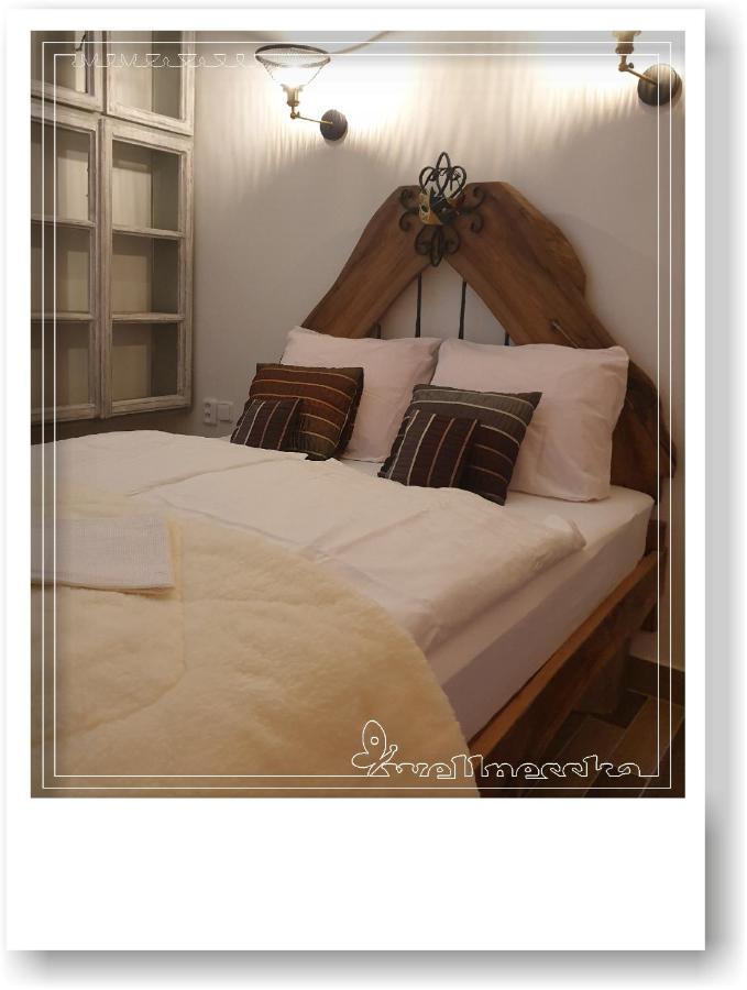 Wellnesska Vyhne Villa Exteriör bild
