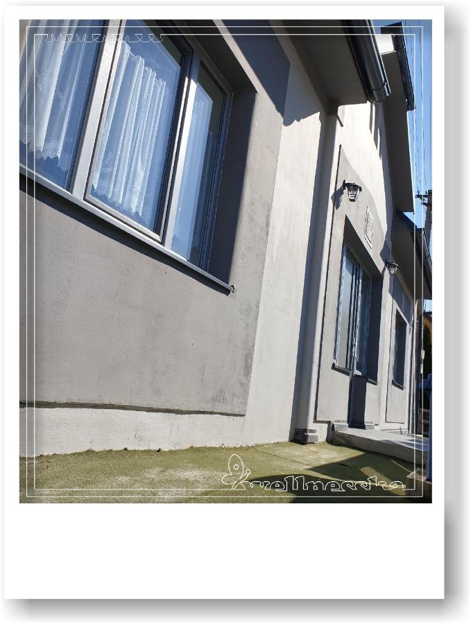 Wellnesska Vyhne Villa Exteriör bild