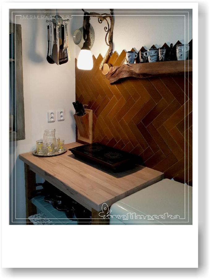 Wellnesska Vyhne Villa Exteriör bild