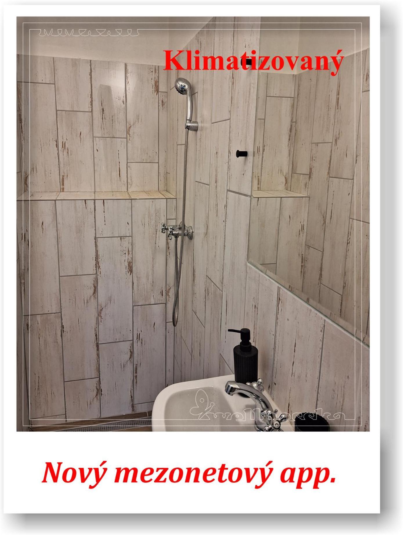 Wellnesska Vyhne Villa Exteriör bild