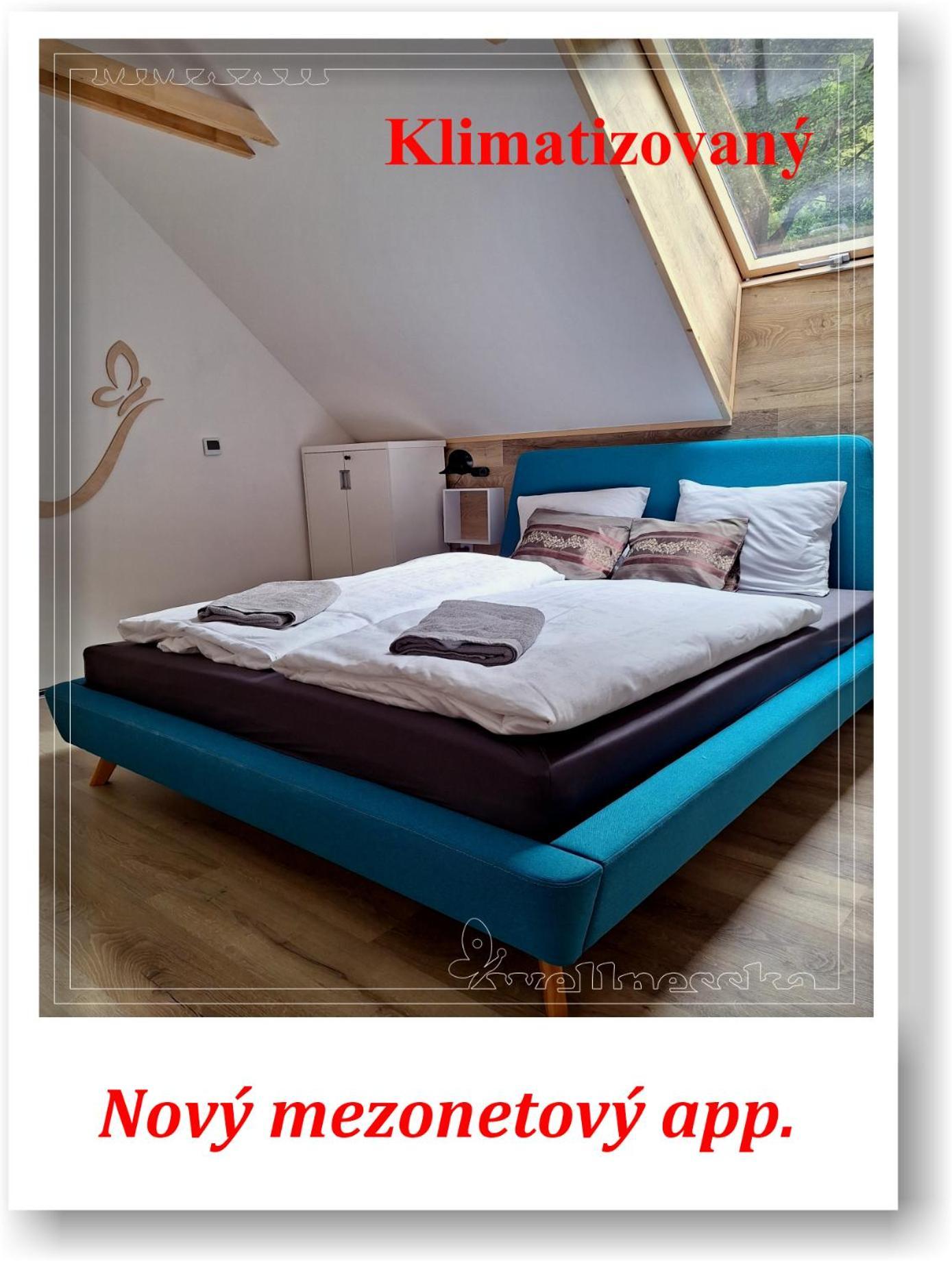 Wellnesska Vyhne Villa Exteriör bild